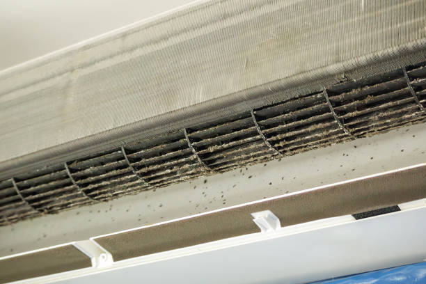 Best HVAC System Cleaning  in Baldwin, PA